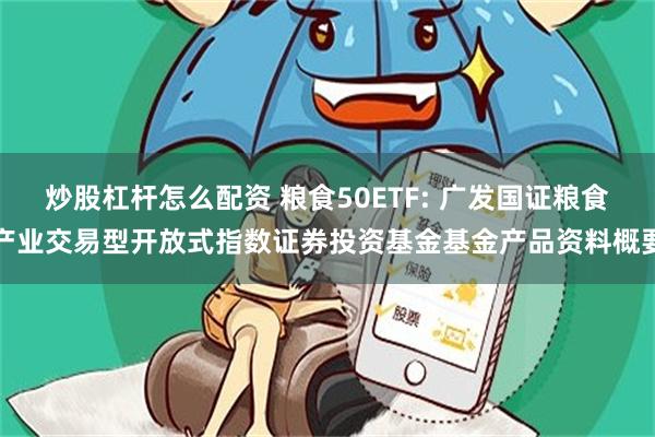 炒股杠杆怎么配资 粮食50ETF: 广发国证粮食产业交易型开放式指数证券投资基金基金产品资料概要