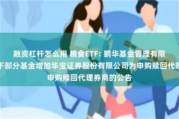 融资杠杆怎么用 粮食ETF: 鹏华基金管理有限公司关于旗下部分基金增加华宝证券股份有限公司为申购赎回代理券商的公告