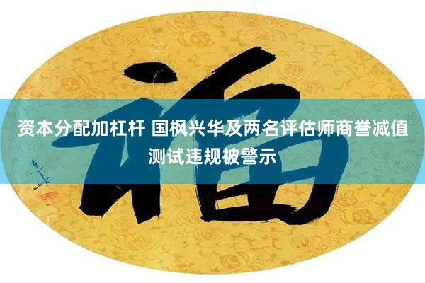 资本分配加杠杆 国枫兴华及两名评估师商誉减值测试违规被警示