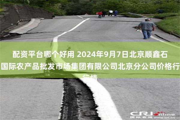 配资平台哪个好用 2024年9月7日北京顺鑫石门国际农产品批发市场集团有限公司北京分公司价格行情