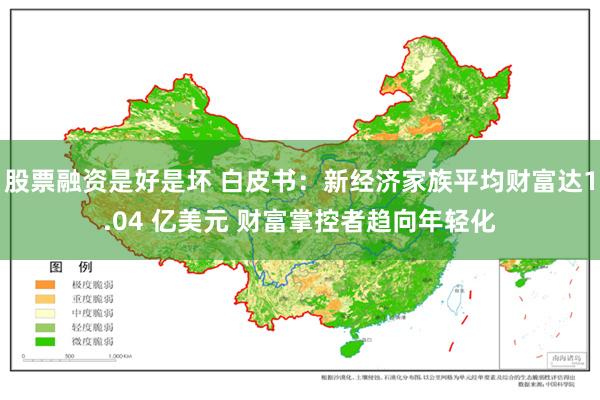 股票融资是好是坏 白皮书：新经济家族平均财富达1.04 亿美元 财富掌控者趋向年轻化