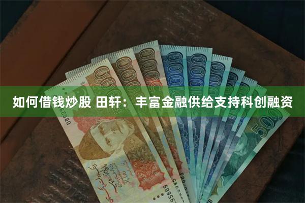 如何借钱炒股 田轩：丰富金融供给支持科创融资