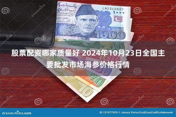 股票配资哪家质量好 2024年10月23日全国主要批发市场海参价格行情