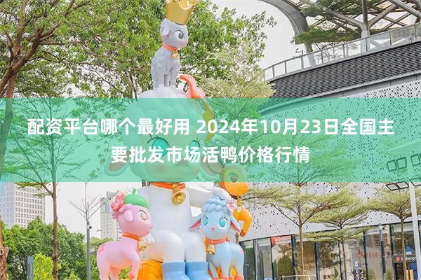 配资平台哪个最好用 2024年10月23日全国主要批发市场活鸭价格行情