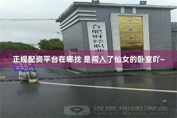 正规配资平台在哪找 是闯入了仙女的卧室吖~