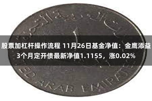 股票加杠杆操作流程 11月26日基金净值：金鹰添益3个月定开债最新净值1.1155，涨0.02%