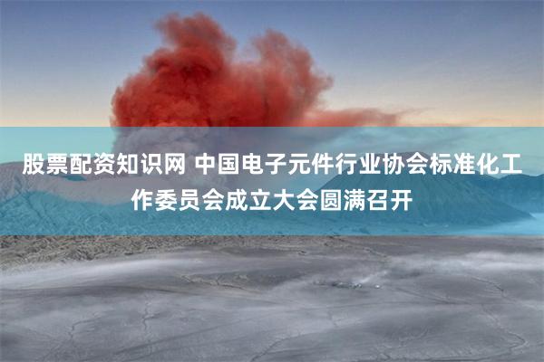 股票配资知识网 中国电子元件行业协会标准化工作委员会成立大会圆满召开