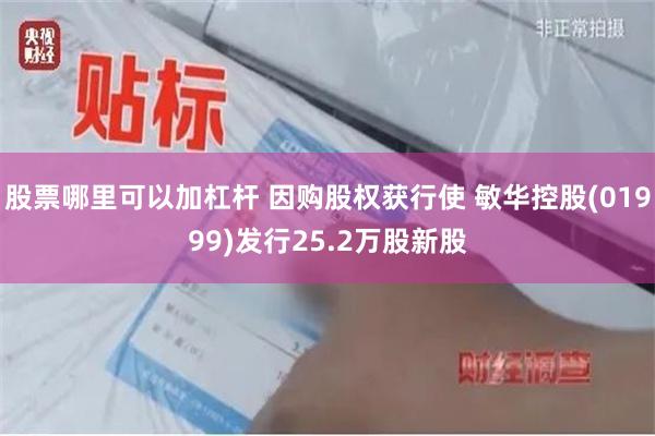 股票哪里可以加杠杆 因购股权获行使 敏华控股(01999)发行25.2万股新股