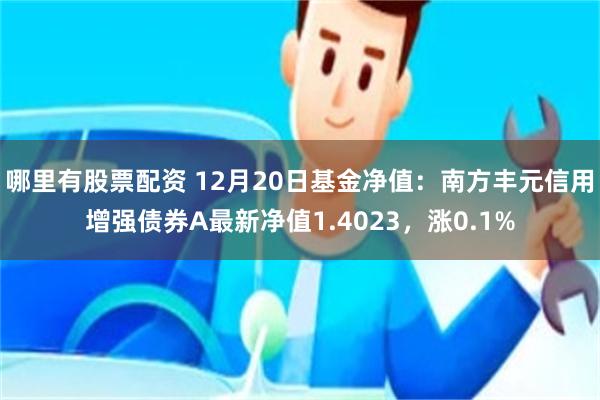 哪里有股票配资 12月20日基金净值：南方丰元信用增强债券A最新净值1.4023，涨0.1%