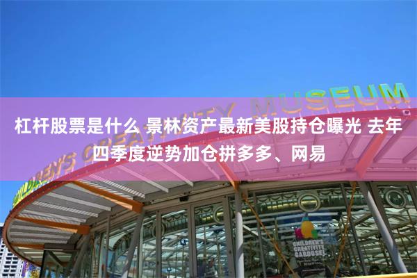 杠杆股票是什么 景林资产最新美股持仓曝光 去年四季度逆势加仓拼多多、网易